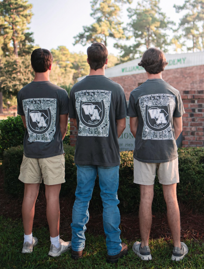 Adult Island Green and Dark Grey (Short Sleeve)
